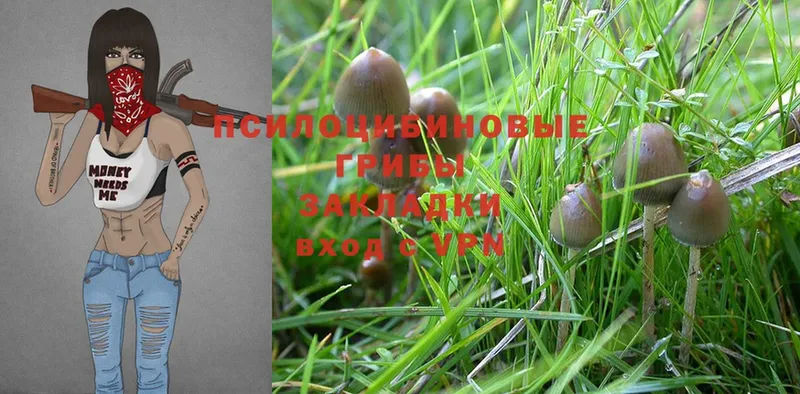 omg сайт  Дно  Галлюциногенные грибы MAGIC MUSHROOMS 