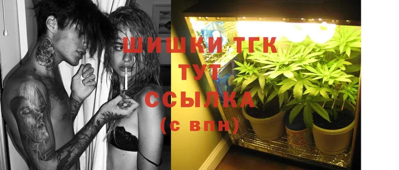 Канабис SATIVA & INDICA  Дно 